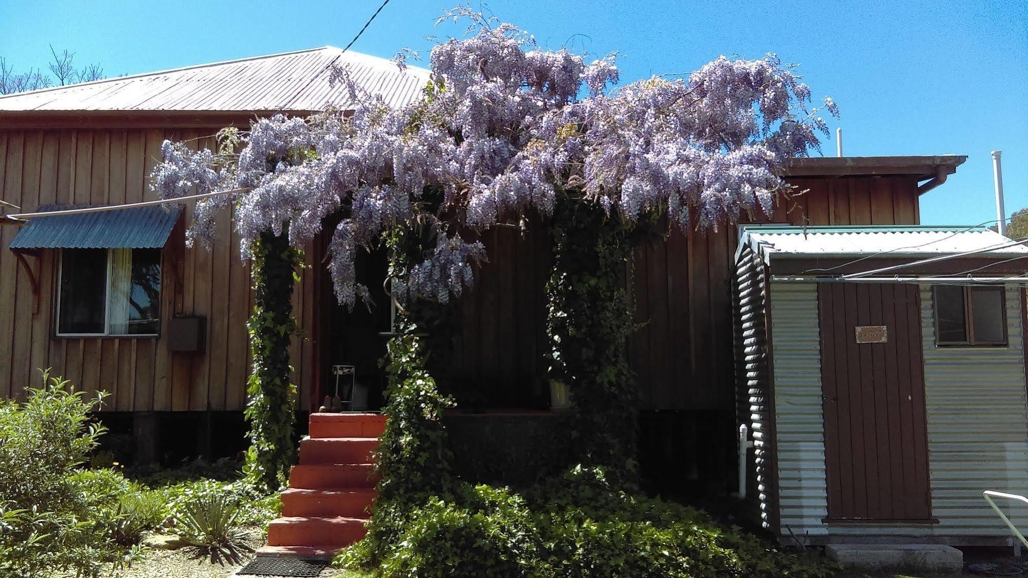Wisteria Cottage Wyberba Экстерьер фото